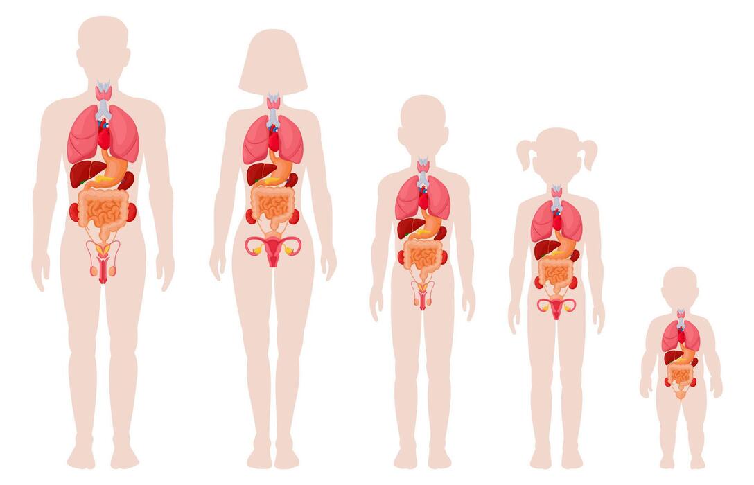 Dietician in Kashibugga Warangal